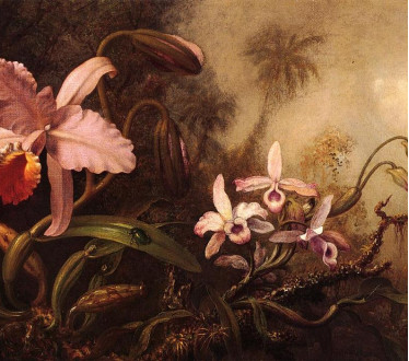 Легенды и мифы о растениях: Как появились цветы?